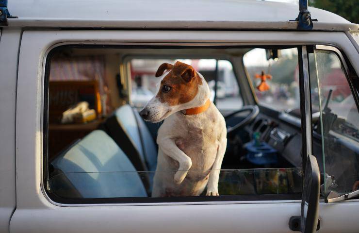 colpo calore auto