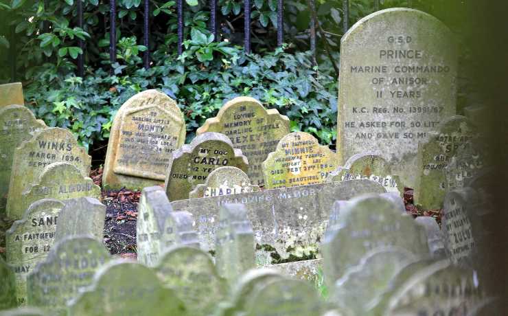 cimitero per animali