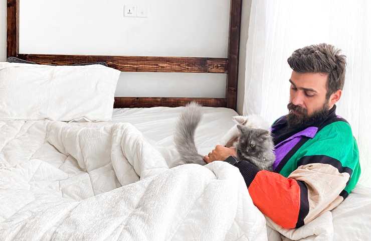 Gatto con uomo a letto