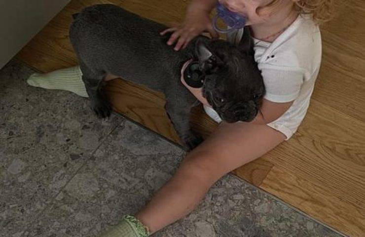 Antonio Spinalbese regala un cucciolo a Luna Marì la figlia avuta da Belen