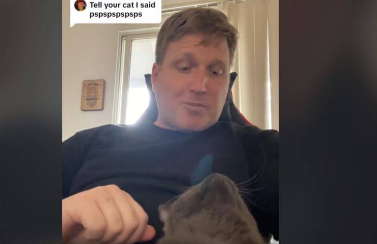 comunicare con i gatti