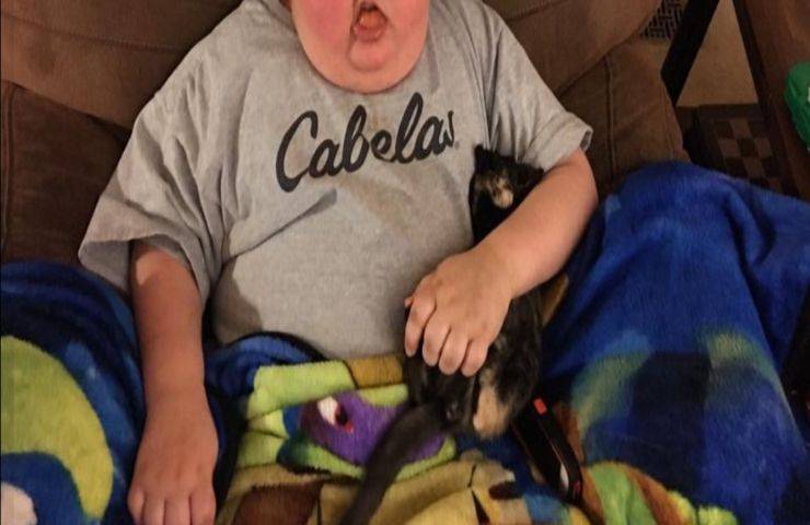 Il desiderio di un bambino malato terminale di avere un gatto viene esaudito