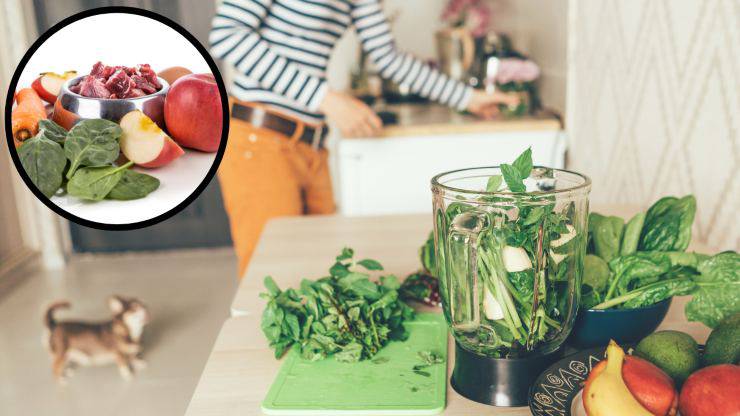 spinaci per il cane