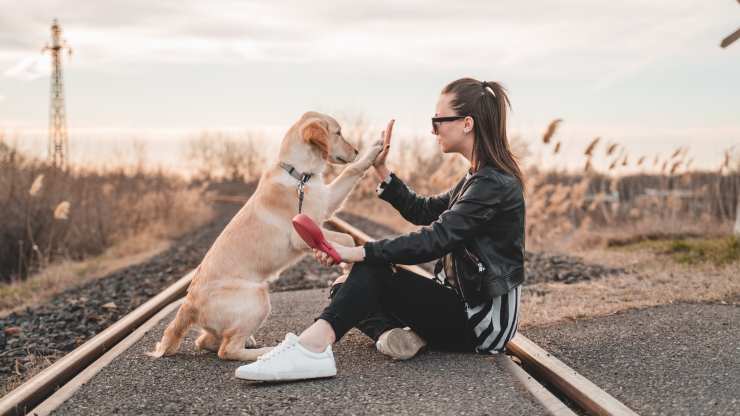 come viaggiare con cane in treno