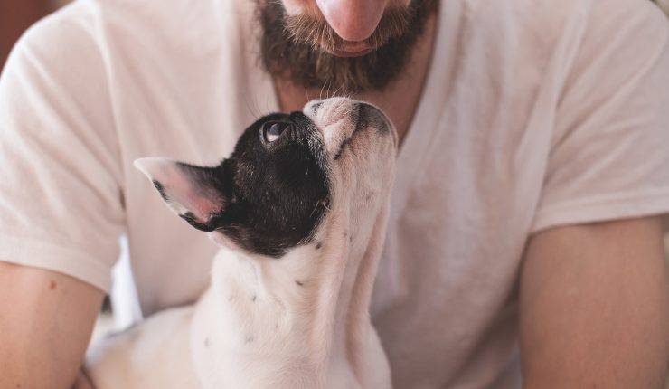 cane in braccio a uomo