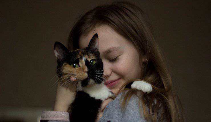 Gatta in braccio ad una bambina