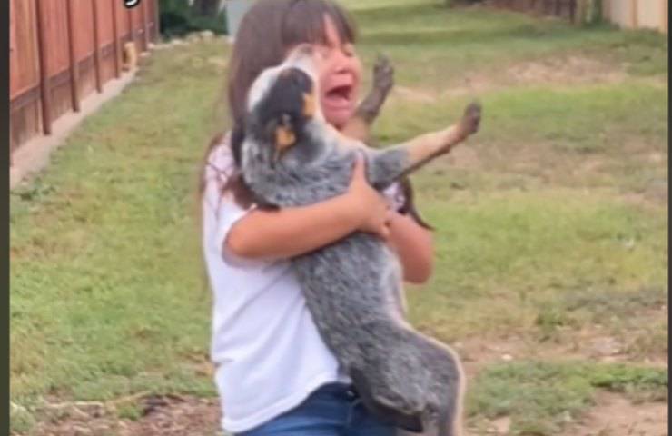 bimba cagnolino abbraccio video