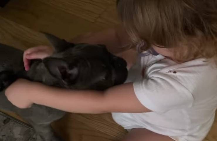 Antonio Spinalbese regala un cucciolo a Luna Marì la figlia avuta da Belen