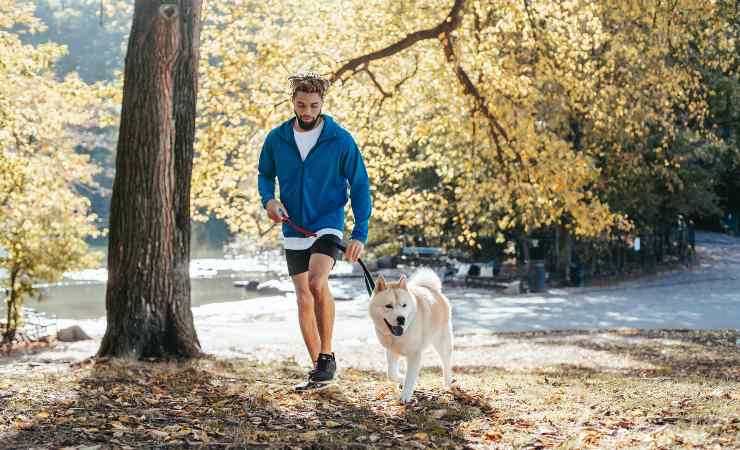 cane a passeggio