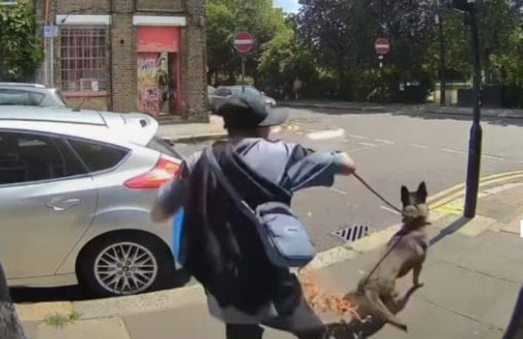 Il cane gli fa cadere il pranzo e lui lo massacra di calci