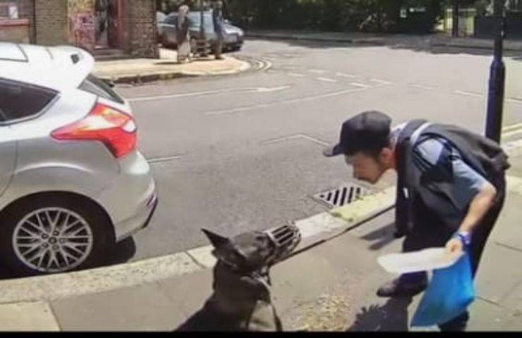 Il cane gli fa cadere il pranzo e lui lo massacra di calci