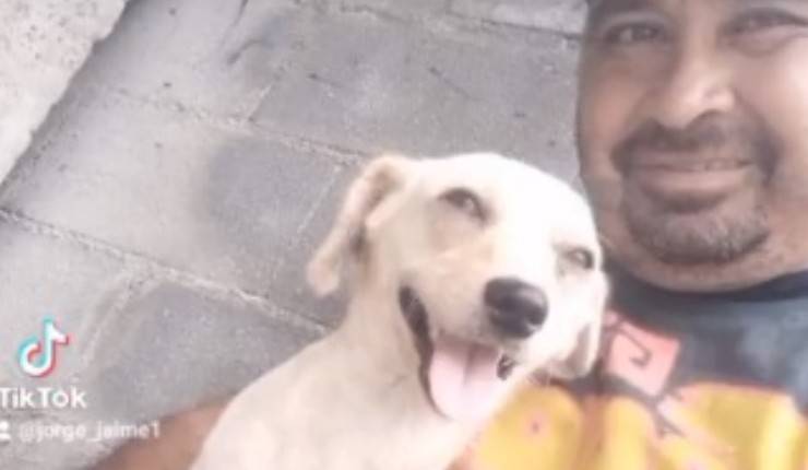 cane salvato
