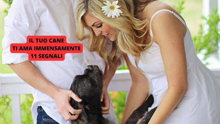 Cane affettuoso