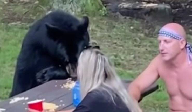 orso mangia
