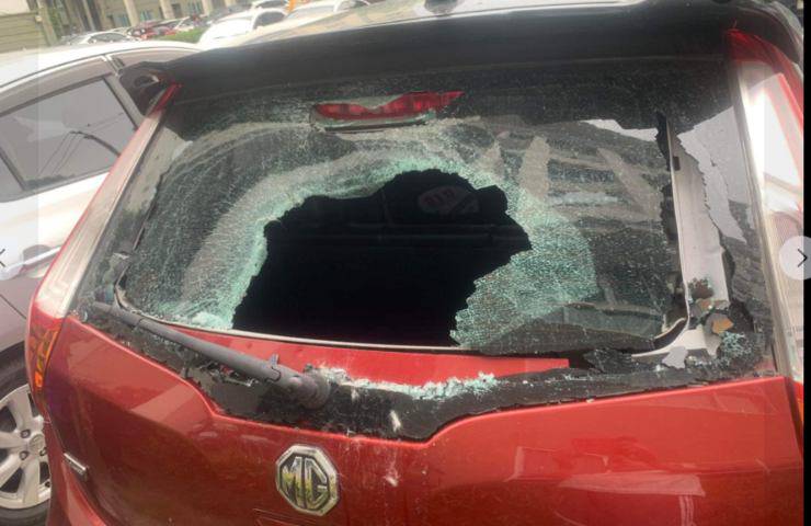 parabrezza auto gatto caduto