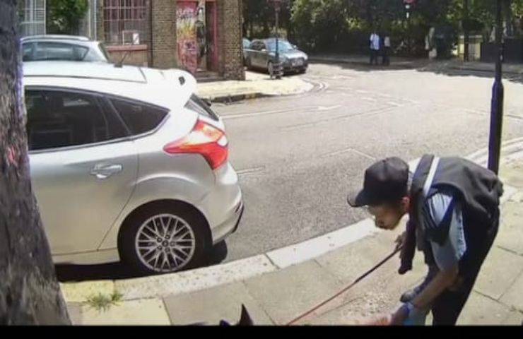 Il cane gli fa cadere il pranzo e lui lo massacra di calci