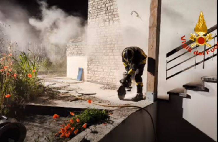 sonda vigili fuoco gattini