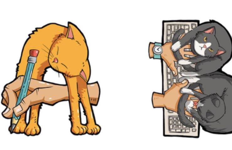 alfabeto felino a b