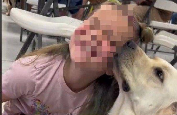Bambina con labrador