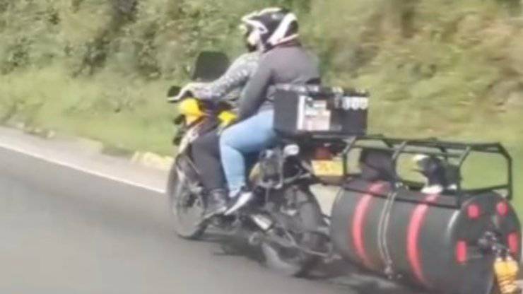 Cani in moto