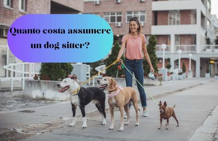 Dog sitter con tre cani