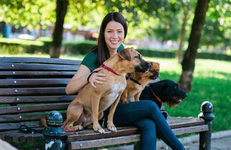 Dog sitter nel parco