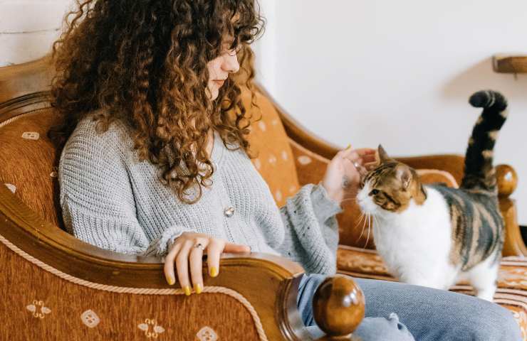 Gatto consola donna