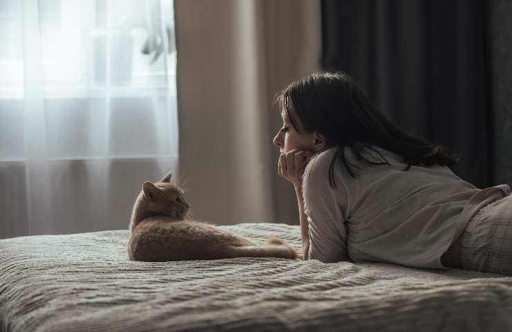 Gatto guarda negli occhi la donna triste