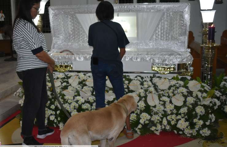 cane accanto a bara