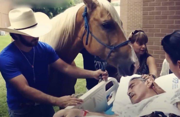 cavallo Mario gesto emozionante