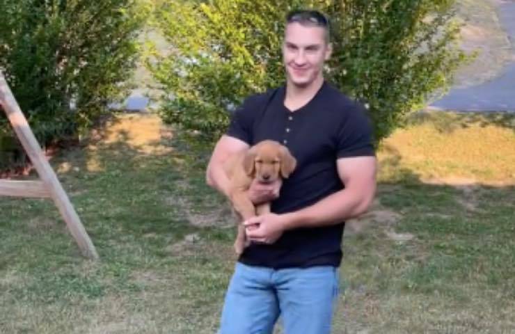 cucciolo arrivo golden retriever