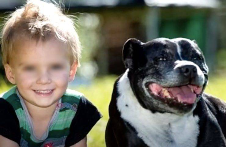 cane lieto fine miracolo