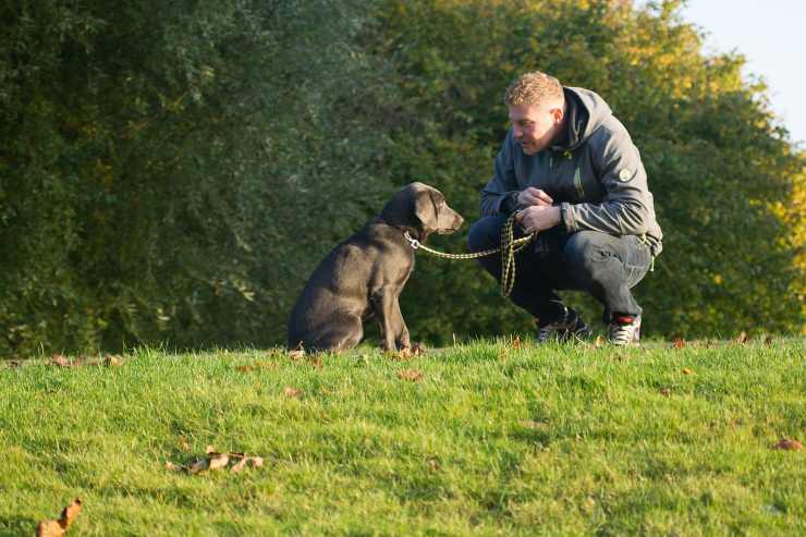 cane al guinzaglio con padrone
