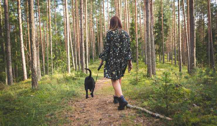 cane a passeggio