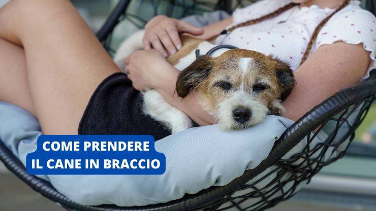 cane in braccio