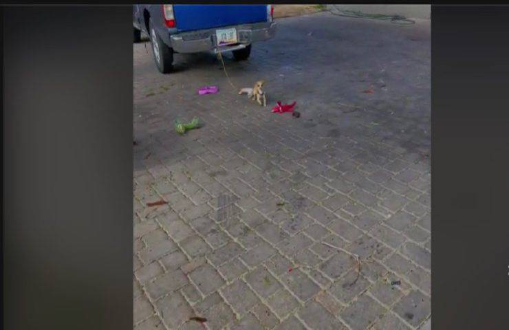 Legato al paraurti della macchina 24 ore su 24