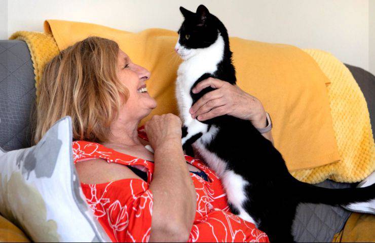 gattino non udente umana