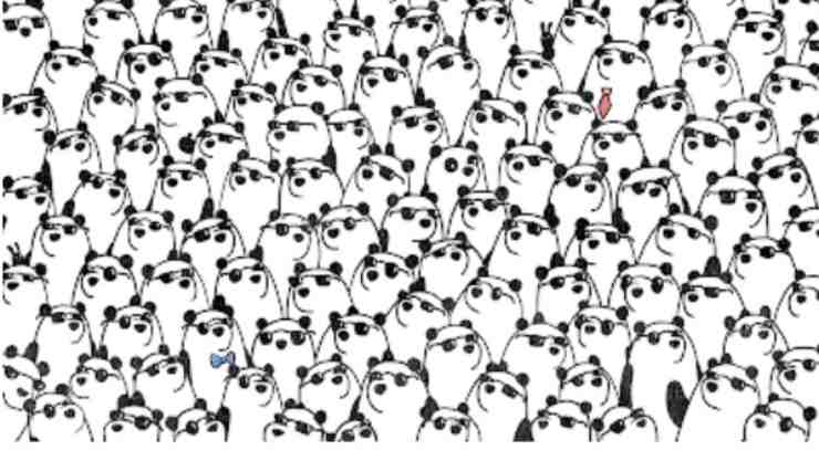 Test visivo dei panda