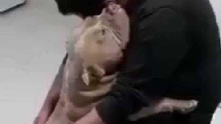 Attacco di ansia cane