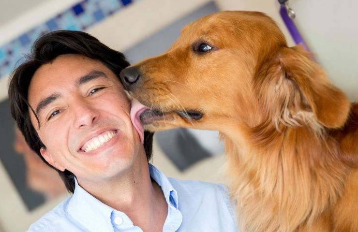 Cane lecca uomo