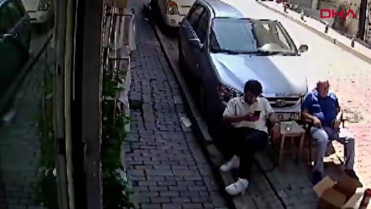 gatto atterra su persona