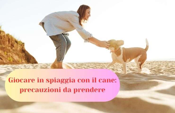 Donna gioca a mare con il cane