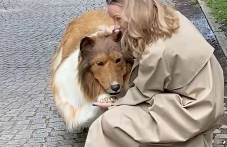 cane abbraccio nuova vita