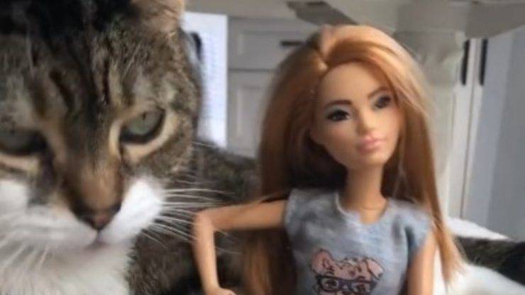 Gatto con Barbie