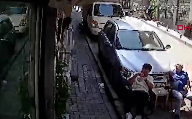 gatto scappa di casa