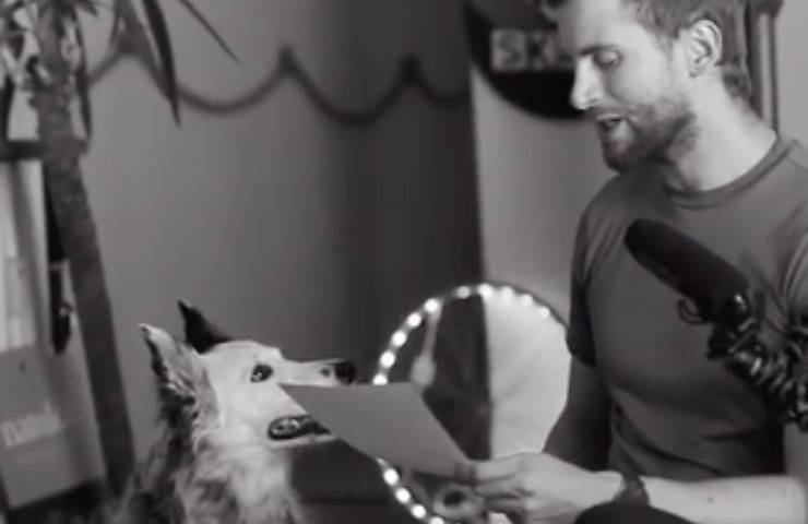cane addio ultimo saluto