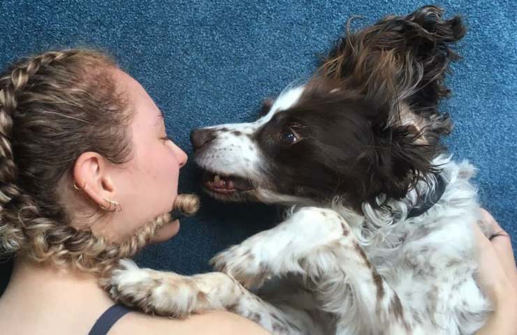 cane anziano fatica a fare le scale