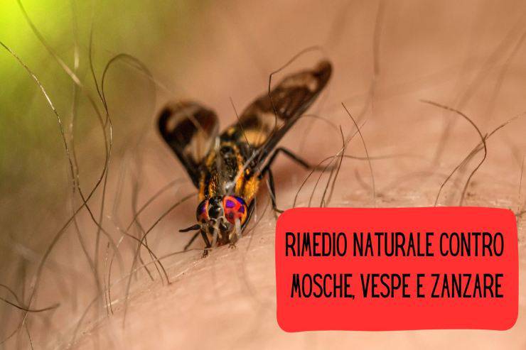 Il rimedio naturale Rimedio naturale