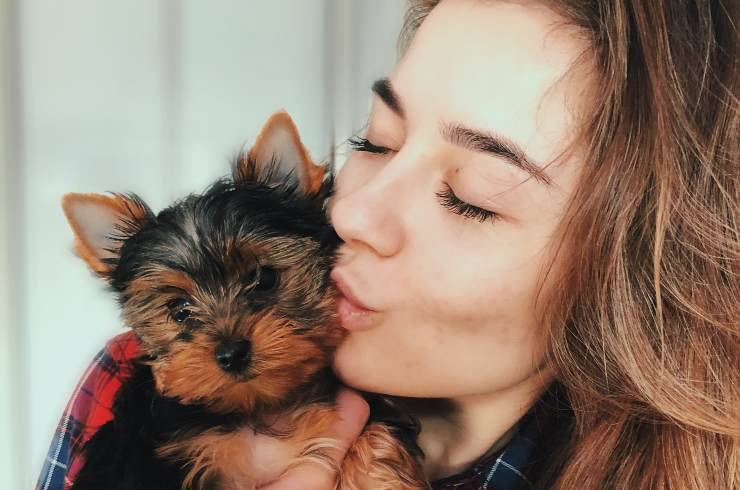 bacio al cane