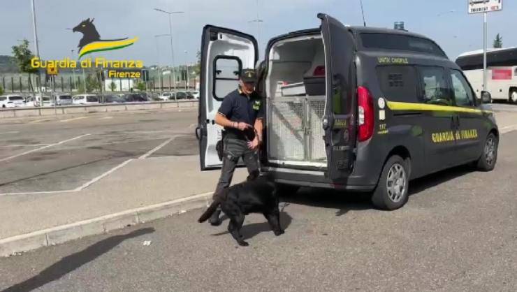 cane della Guardia di Finanza 